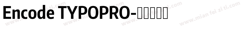 Encode TYPOPRO字体转换